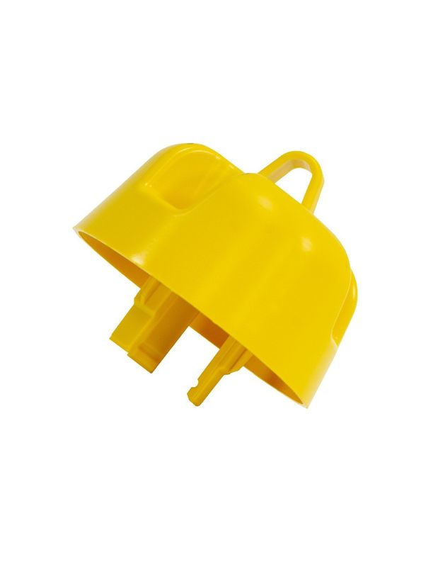 Wasp Trap for Soft Drink Bottle