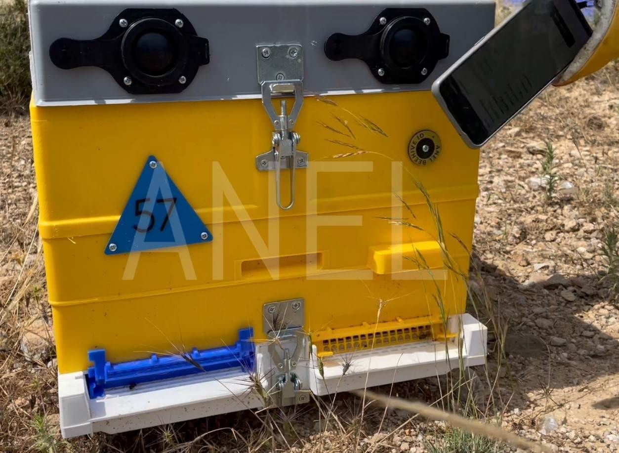 ANEL BeeHive RFID for Use with Any Beehive