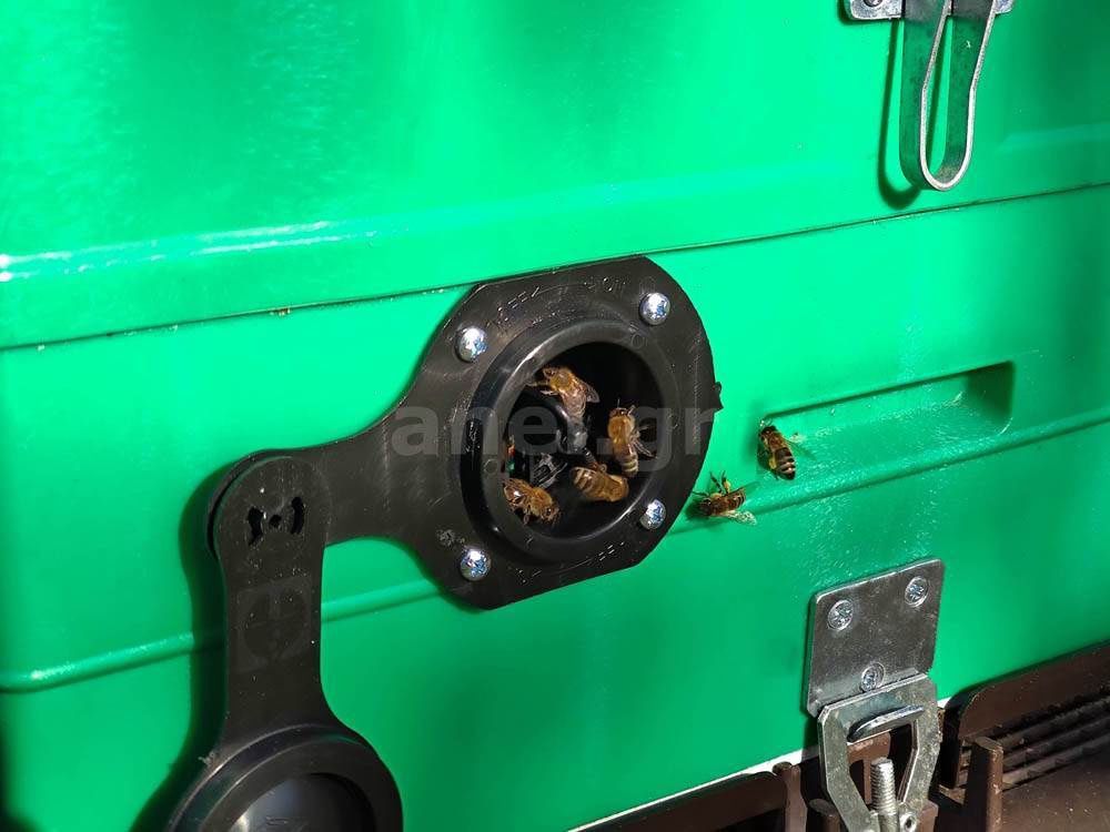 Entrance, Ventilation and Feeding Hybrid Plug ANEL