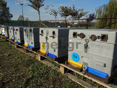 ANEL Beehives