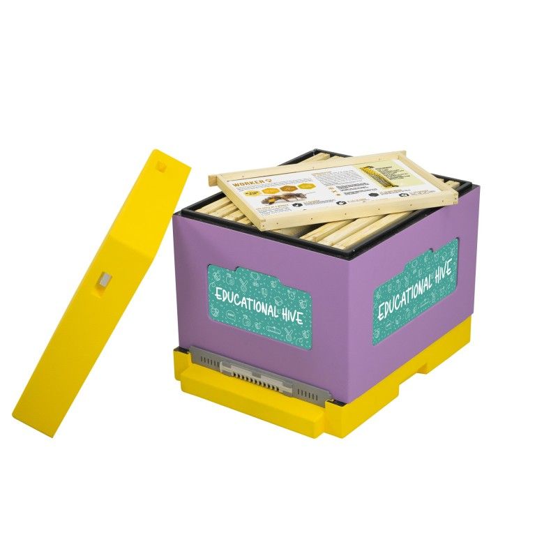 EDUK2_EN Educational bee hive Dadant - set of 12 frames with painted styrofoam bee hive Dadant - English version