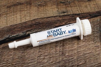Start Baby - 5 Pack Start Baby - 5 Pack