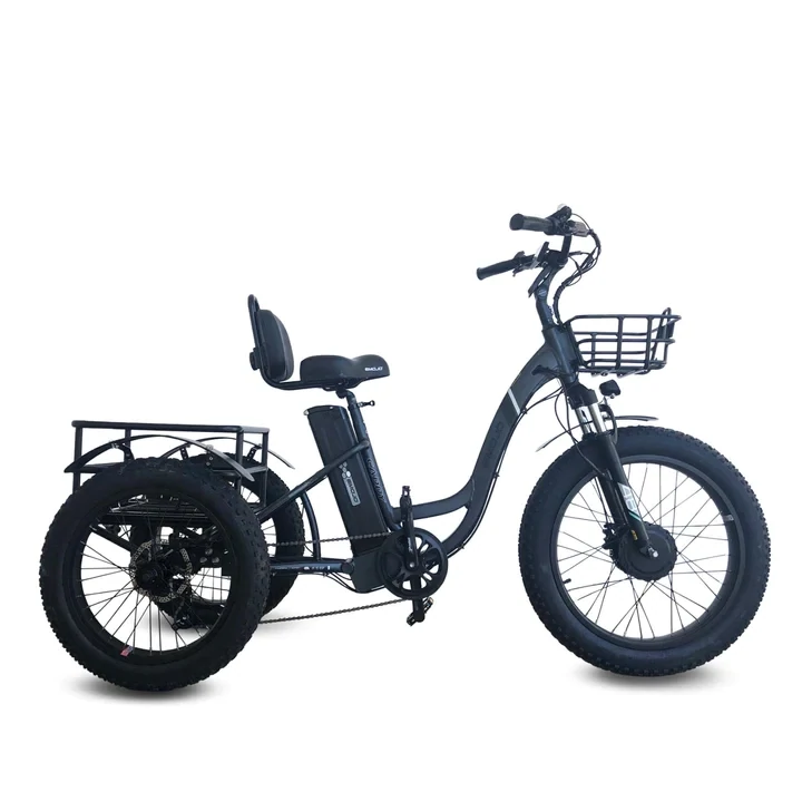 Emojo Caddy E- Trike (Black)
