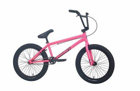 Sunday Scout 20.75 Pink