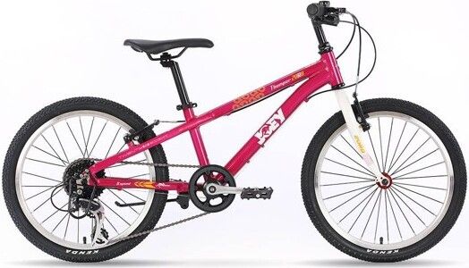 CFG Joey Thumper Bike 20 in. PINK