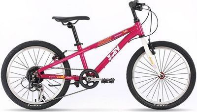 CFG Joey Thumper Bike 20 in. PINK