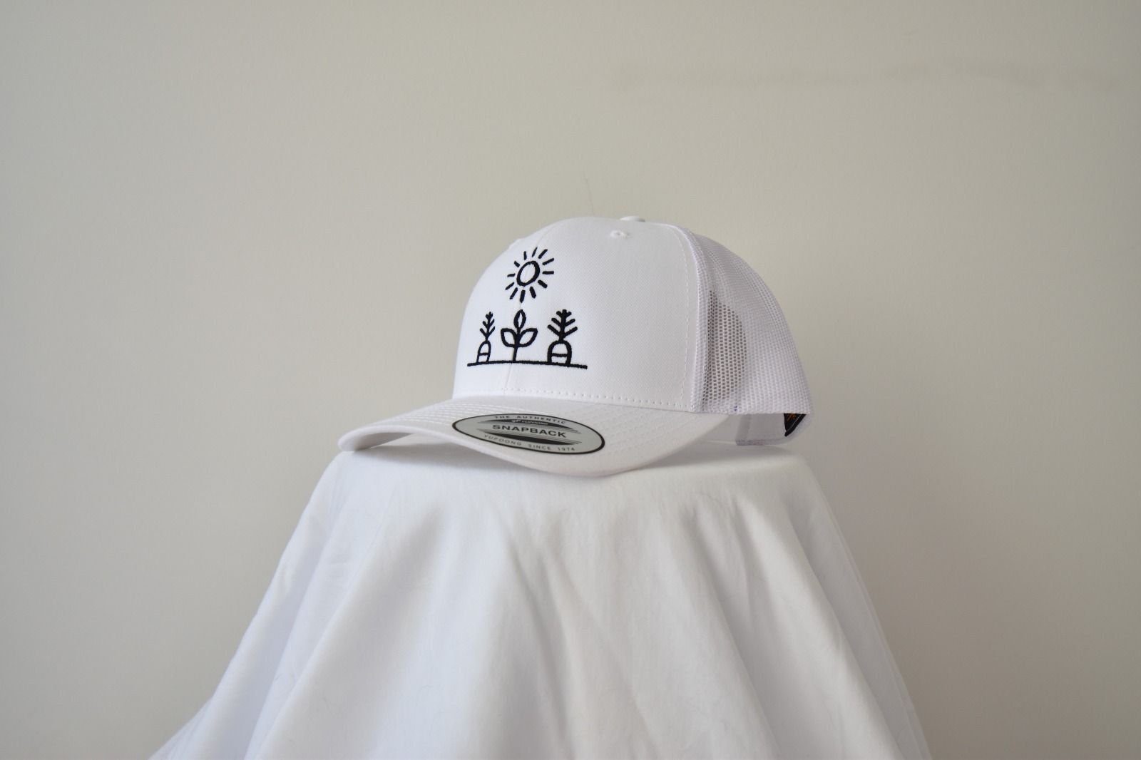 Snapback Hats - White