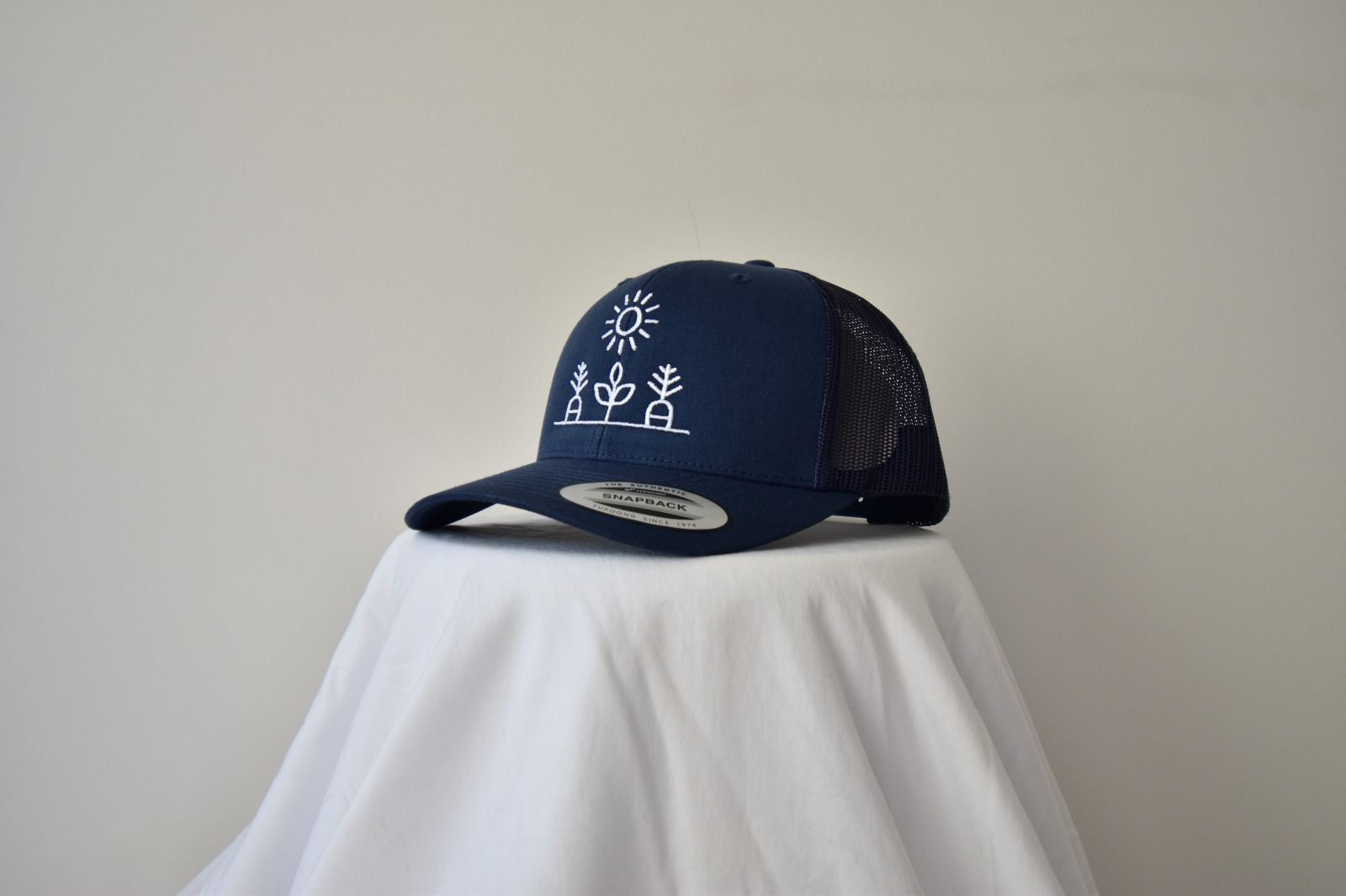 Snapback Hats - Blue