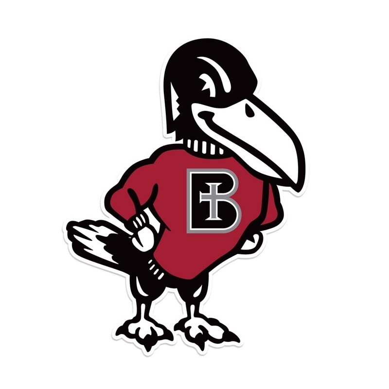 DECAL - RAVEN MASCOT