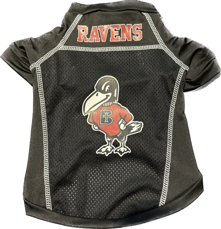 PET-FOOTBALL JERSEY