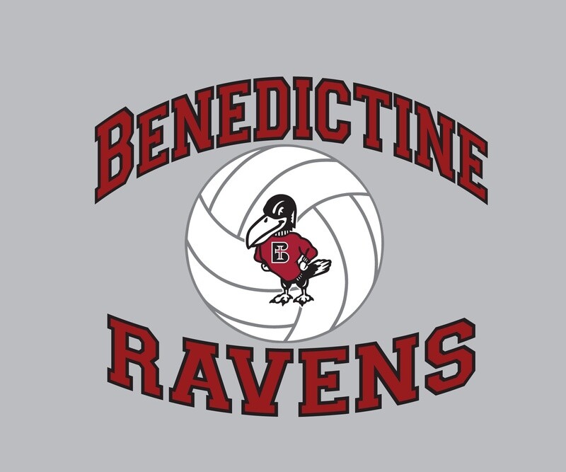 DECAL- VOLLEYBALL