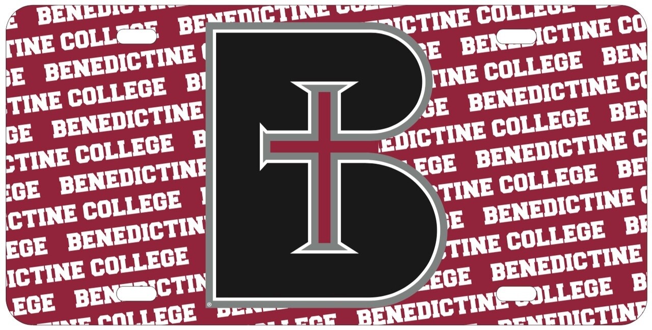LICENSE PLATE GLOSSY-B