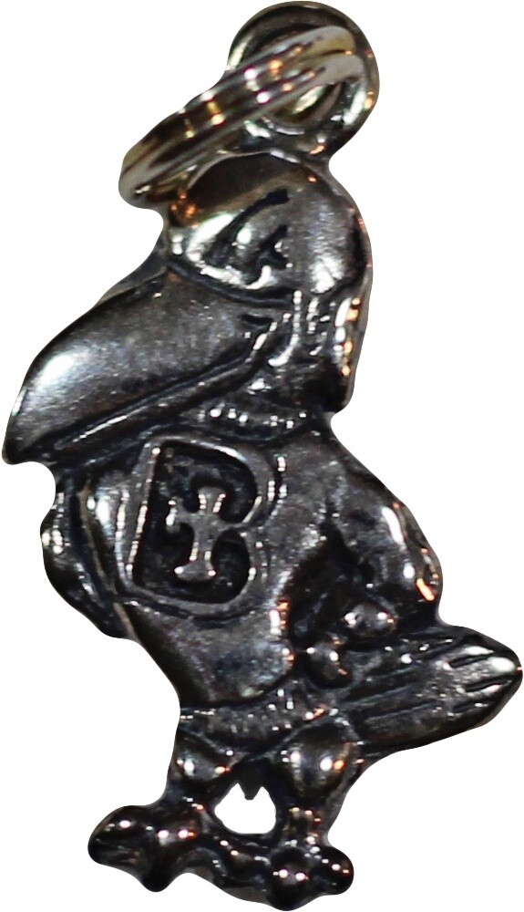 BC CHARM-RAVEN