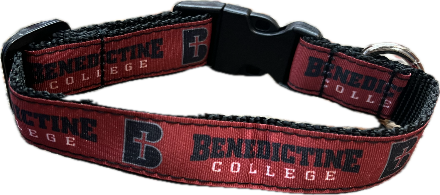 PET-PAW COLLAR