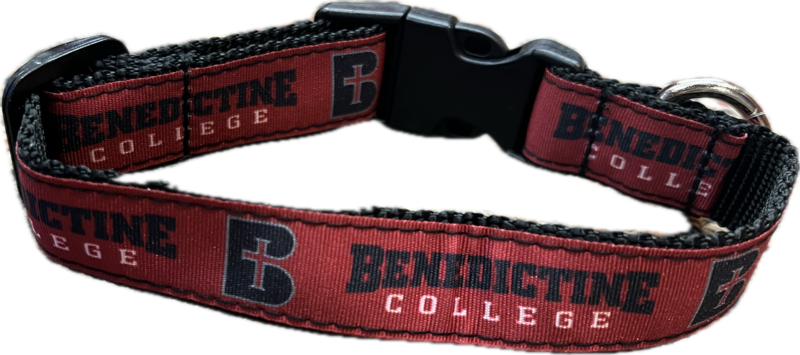 PET-PAW COLLAR