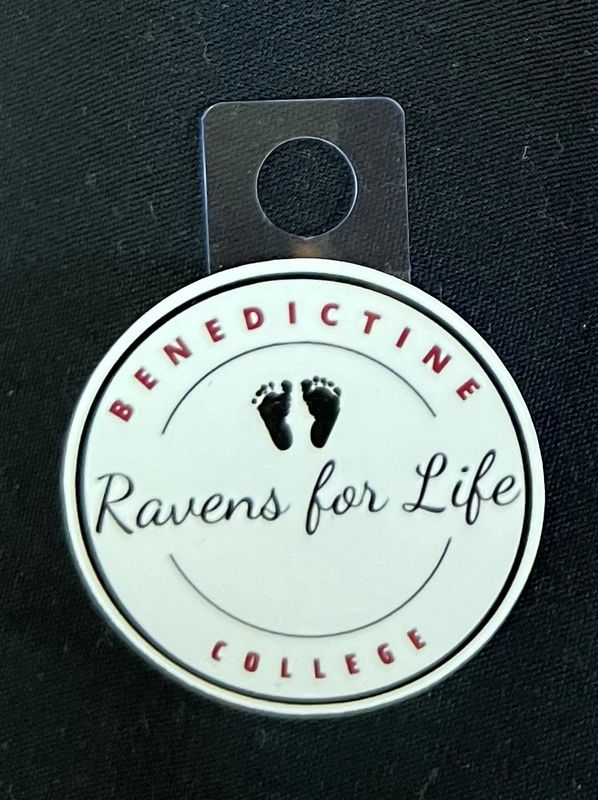 Sticker - Pro Life