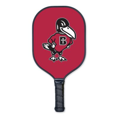 TOY - PICKLEBALL PADDLE