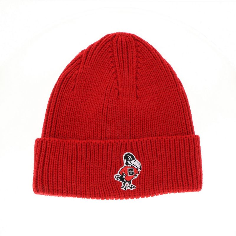 BEANIE-RIBBED CUFF