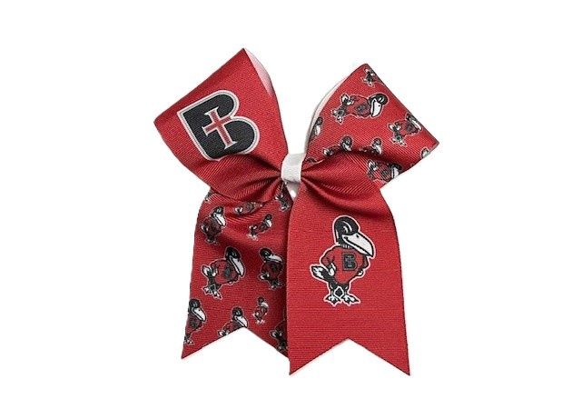 BARRETTE-CHEER RIBBON