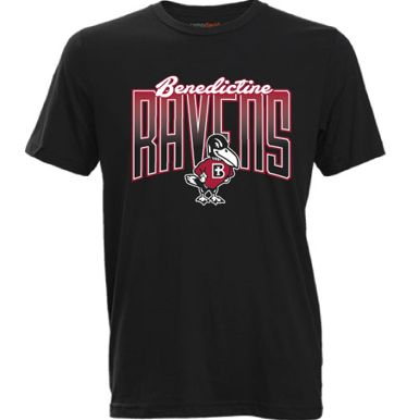 TEE - RAVENS FADE