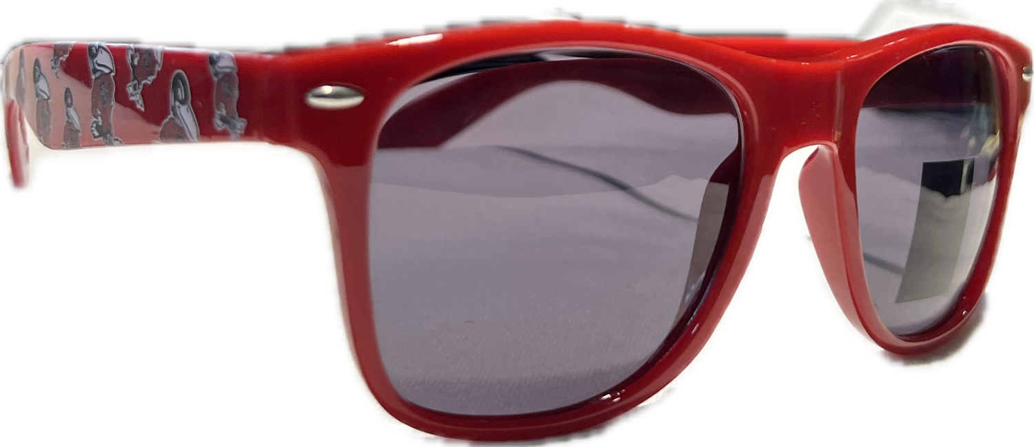 SUNGLASSES-MALIBU