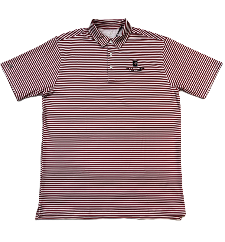 POLO - SKILLS