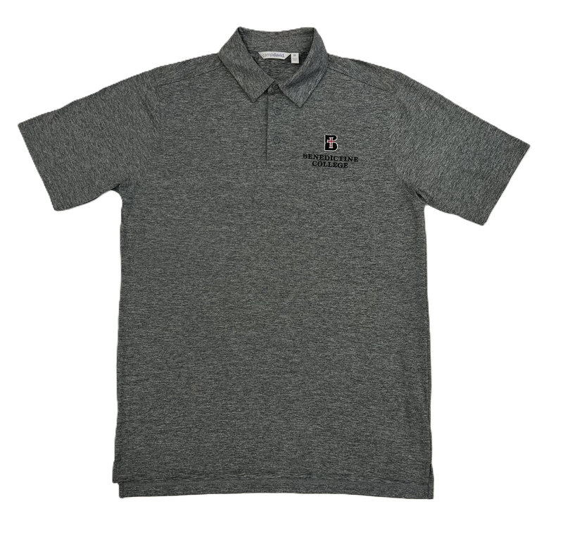 POLO - VELOCITY