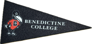 MAGNET - FELT PENNANT