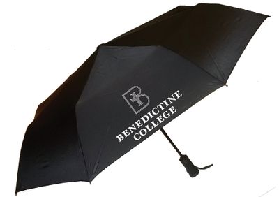 UMBRELLA-STORM FLASH