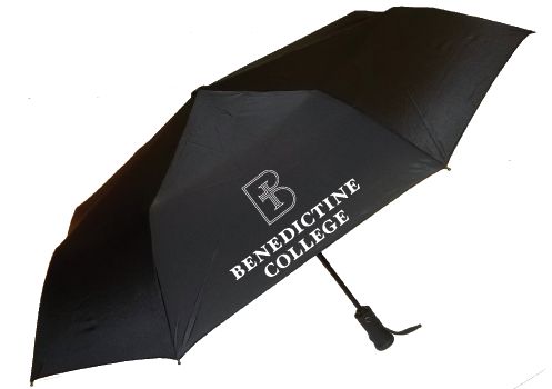 UMBRELLA-STORM FLASH