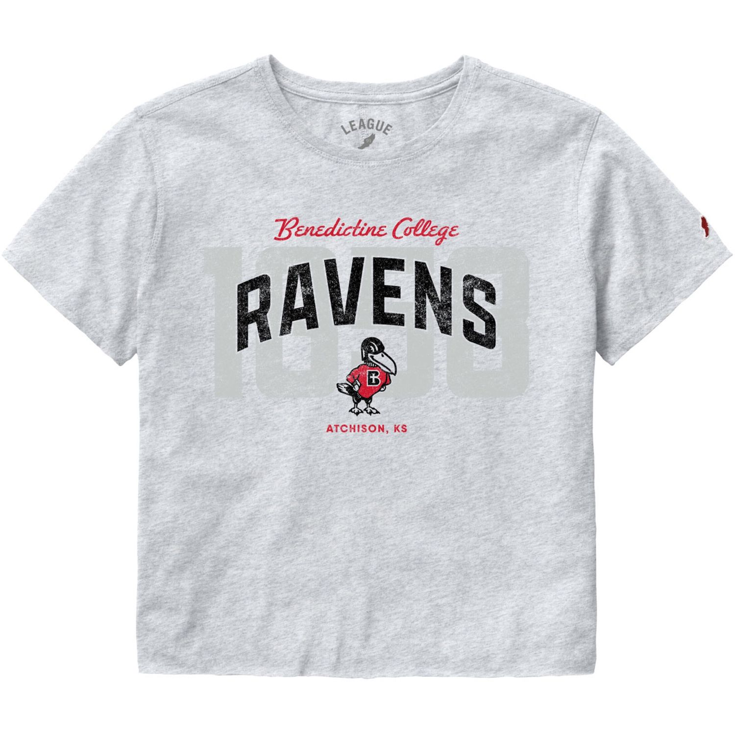 TEE-CLOTHESLINE CROP