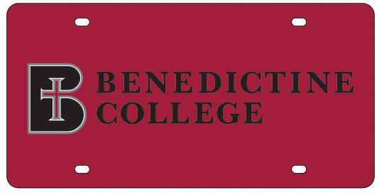 LICENSE PLATE-SCHOOL NAME, RED