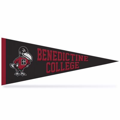PENNANT-THE RAVEN PRIDE