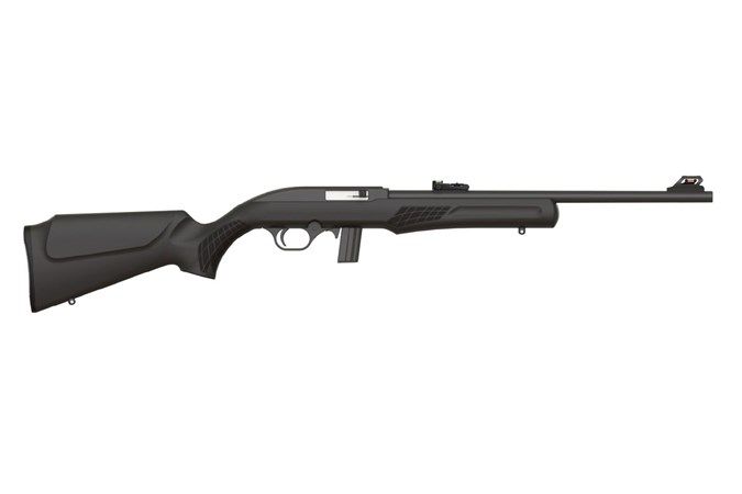 ROSSI RS22 22LR 10+1 BLK