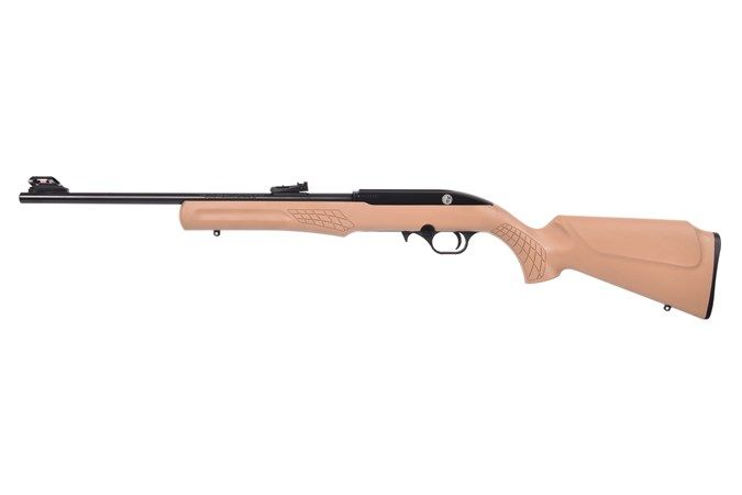 ROSSI RS22 22LR 10+1 FDE