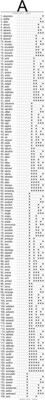 Word Lists