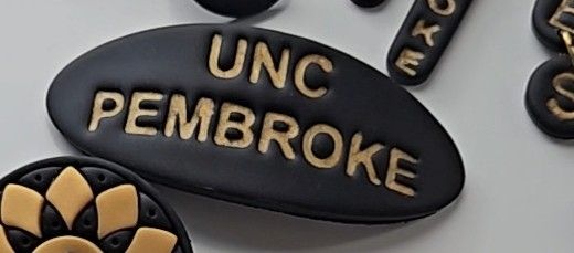 UNC-Pembroke Hair Barrettes
