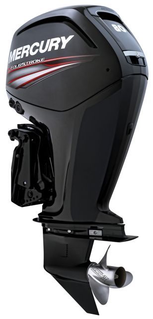 F80 EFI ELPT