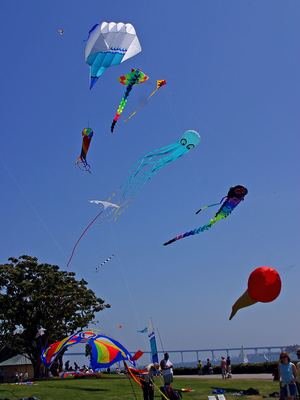 Kites