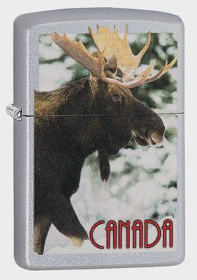 200 Moose with Canada Flag Zippo