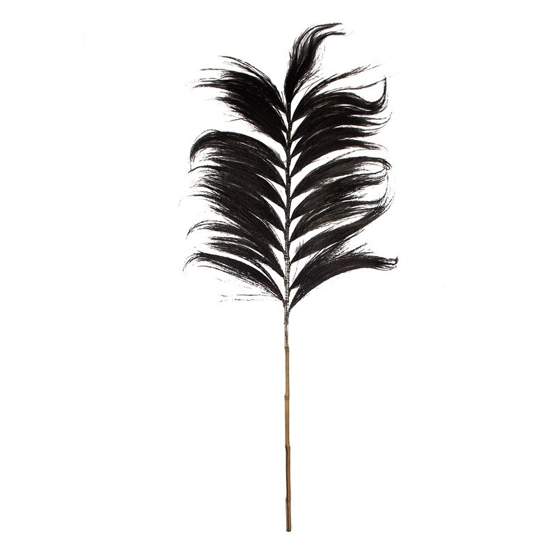 Tropical Hay Plume Black 170cm Tropical Hay Plume Black 170cm
