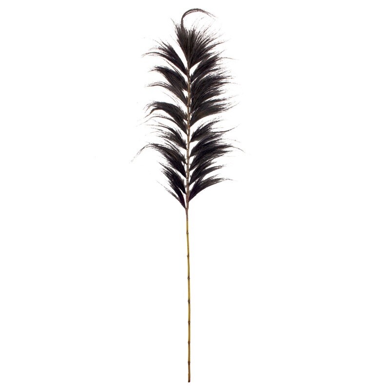 PLUIM Zwart-Bamboe Large ca. H220cm