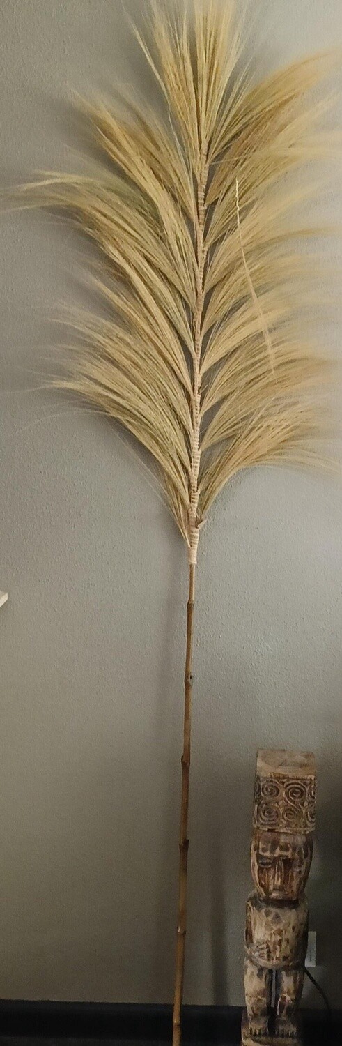 PLUIM XL Gebleekt ca.220cm