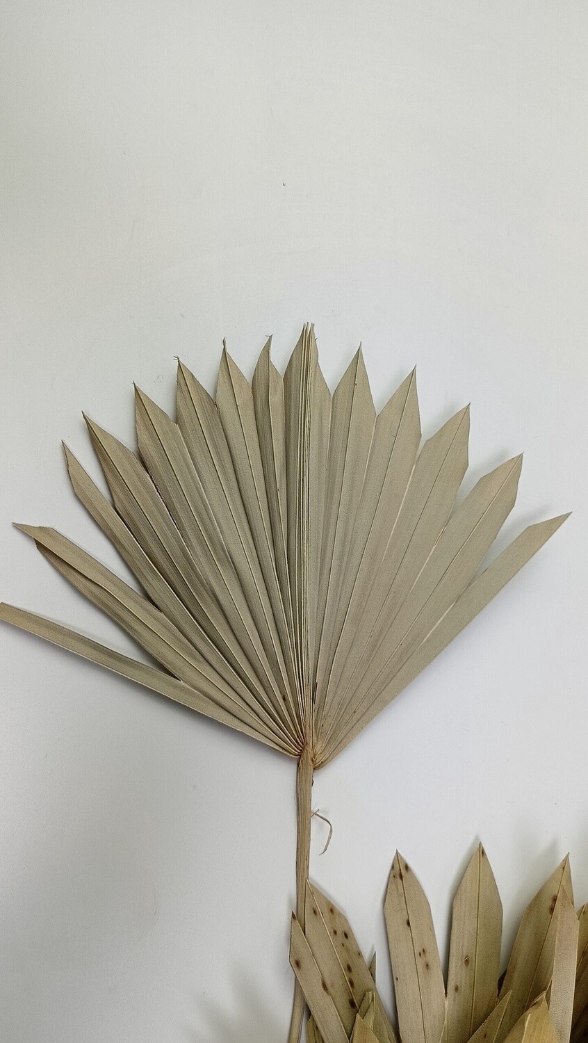 SUN Spear Naturel Mini