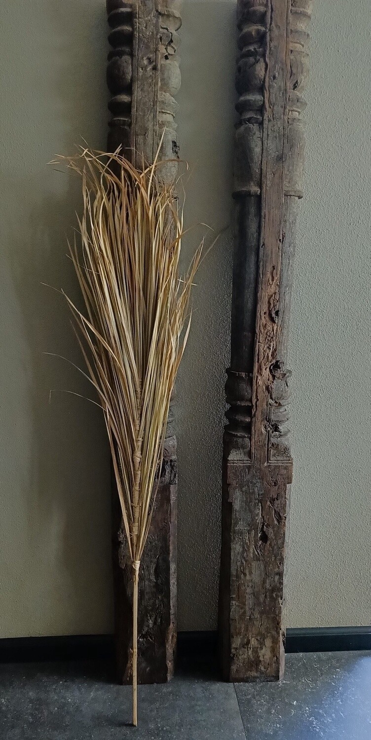 PLUIM Riet Naturel 165cm