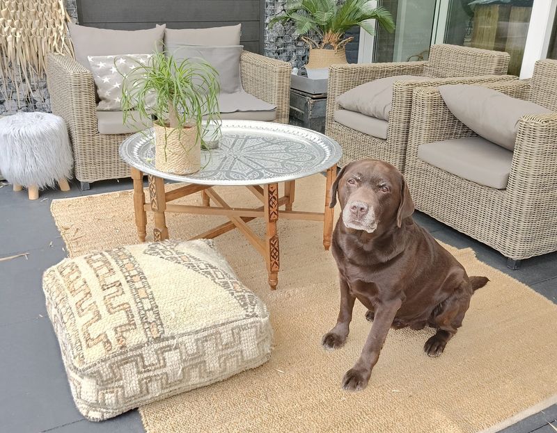 BOUJAAD Poef Ongevuld Div.Print 60x60x25 BOUJAAD Poef Ongevuld Div.Print 60x60x25