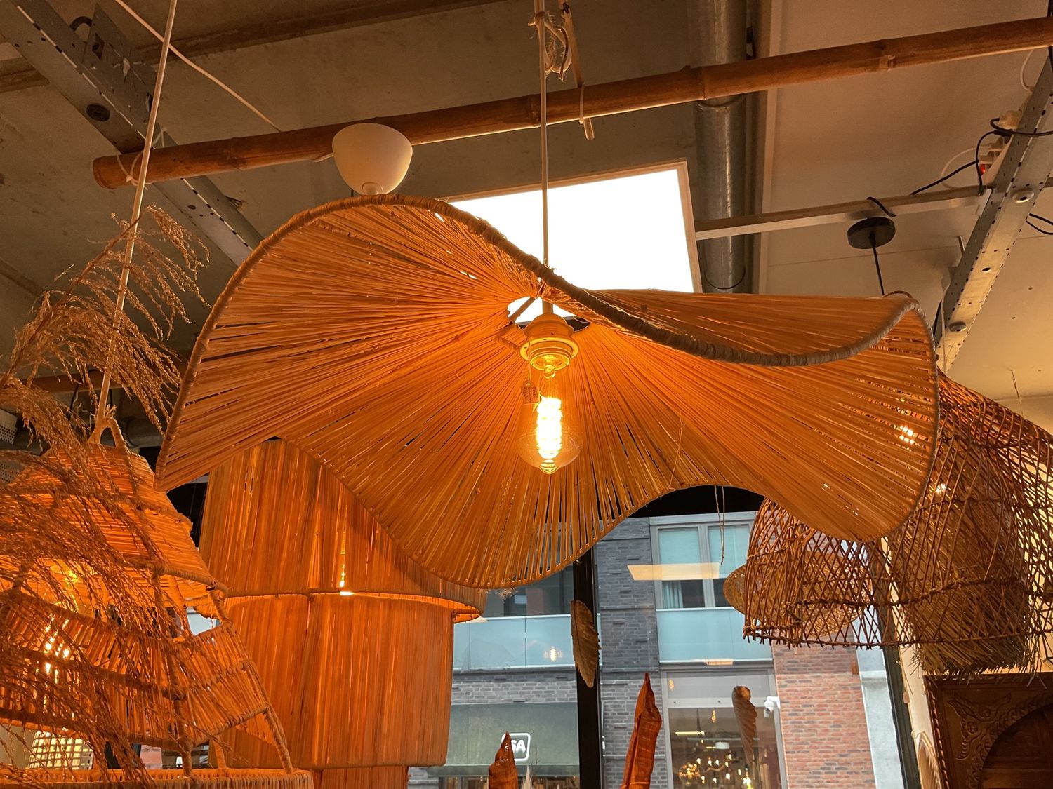 Lamp Raffia Flying Flower Dia 70cm