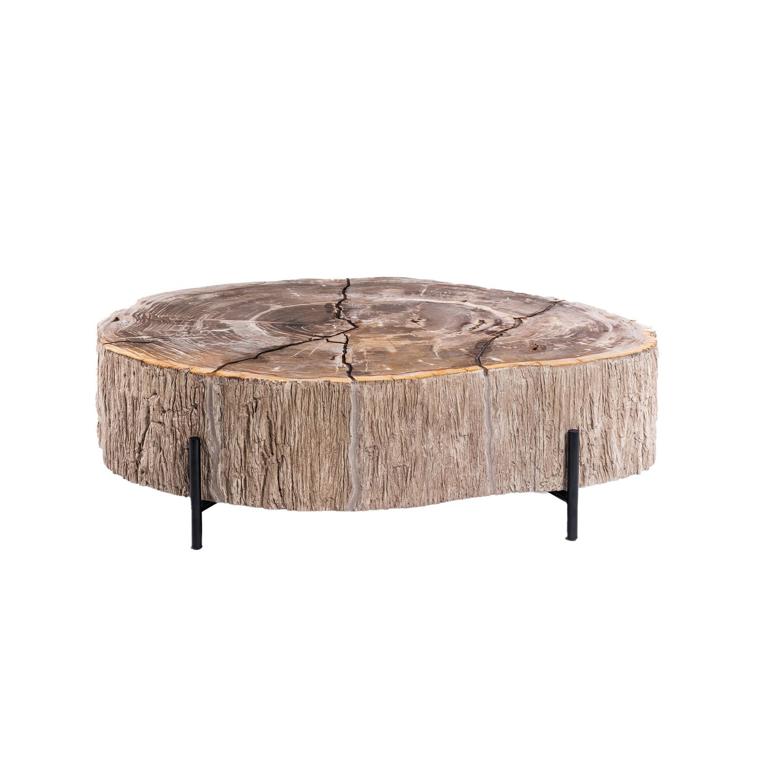 Taly Natural petrified coffeetable fiberglass L