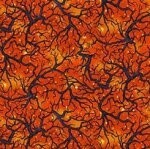 Abra-Cat-Dabra Branches Orange
