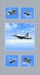 Air Show Jets Panel